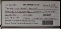 Image Associated With the Occurence